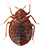 pest thumb