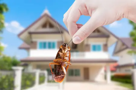 store-pest-control